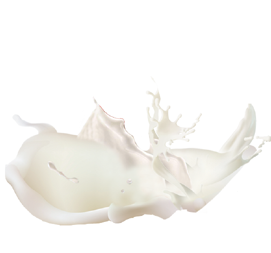 Triolada sastojak mleko